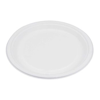 10 Inch Bagasse Round Plate